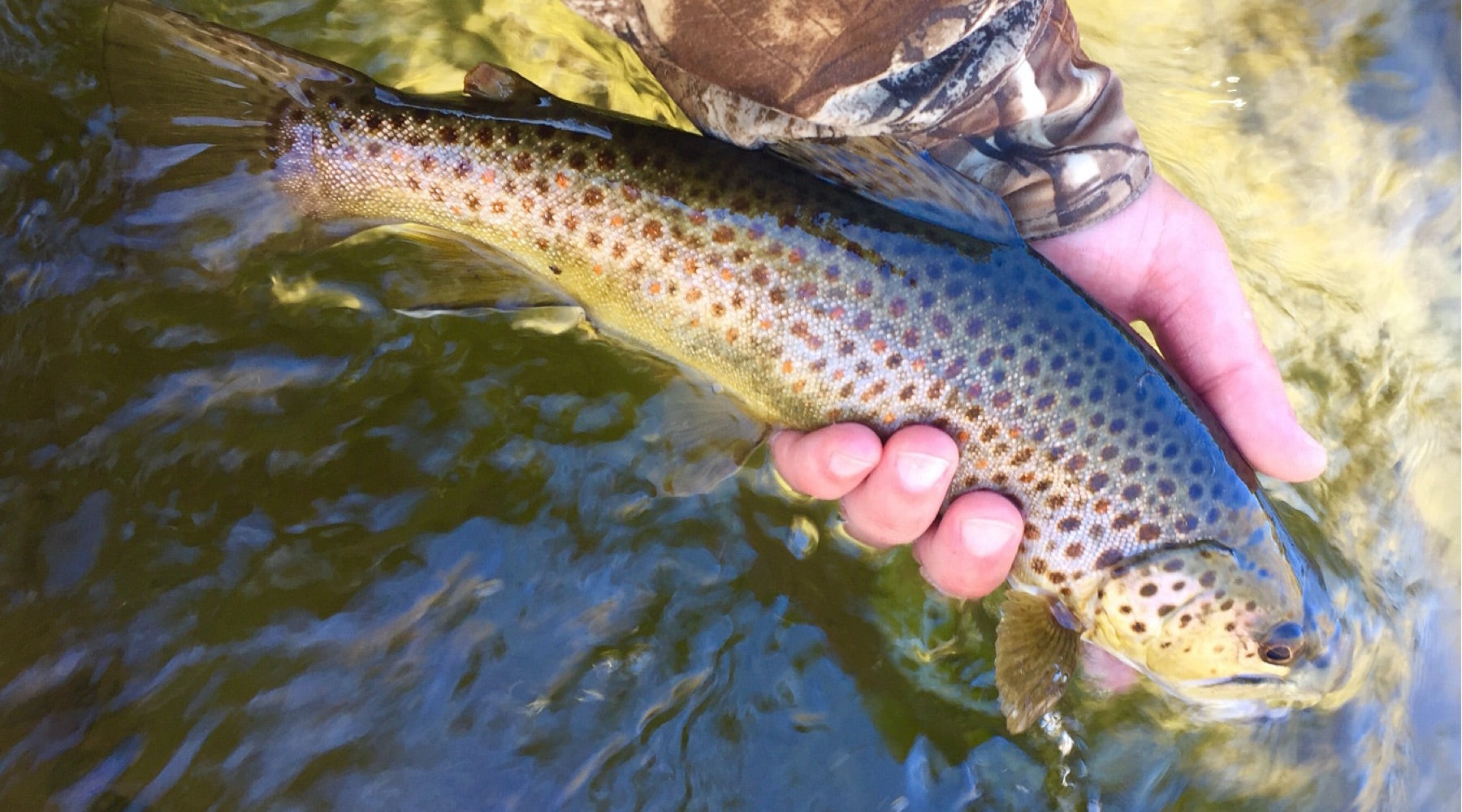 Northeast Fishing Report: 4/30/20
