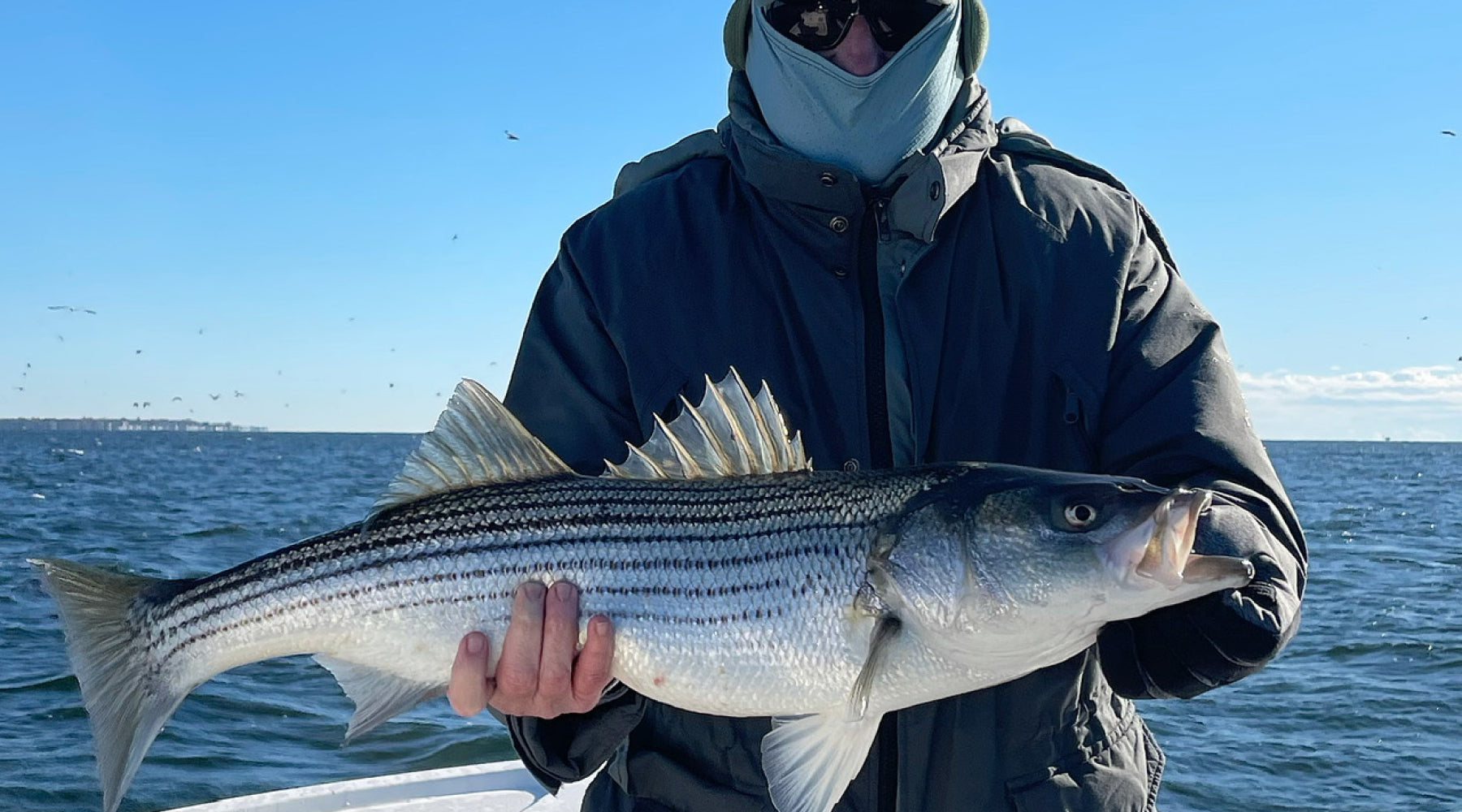 Northeast Fishing Report: 11/12/21