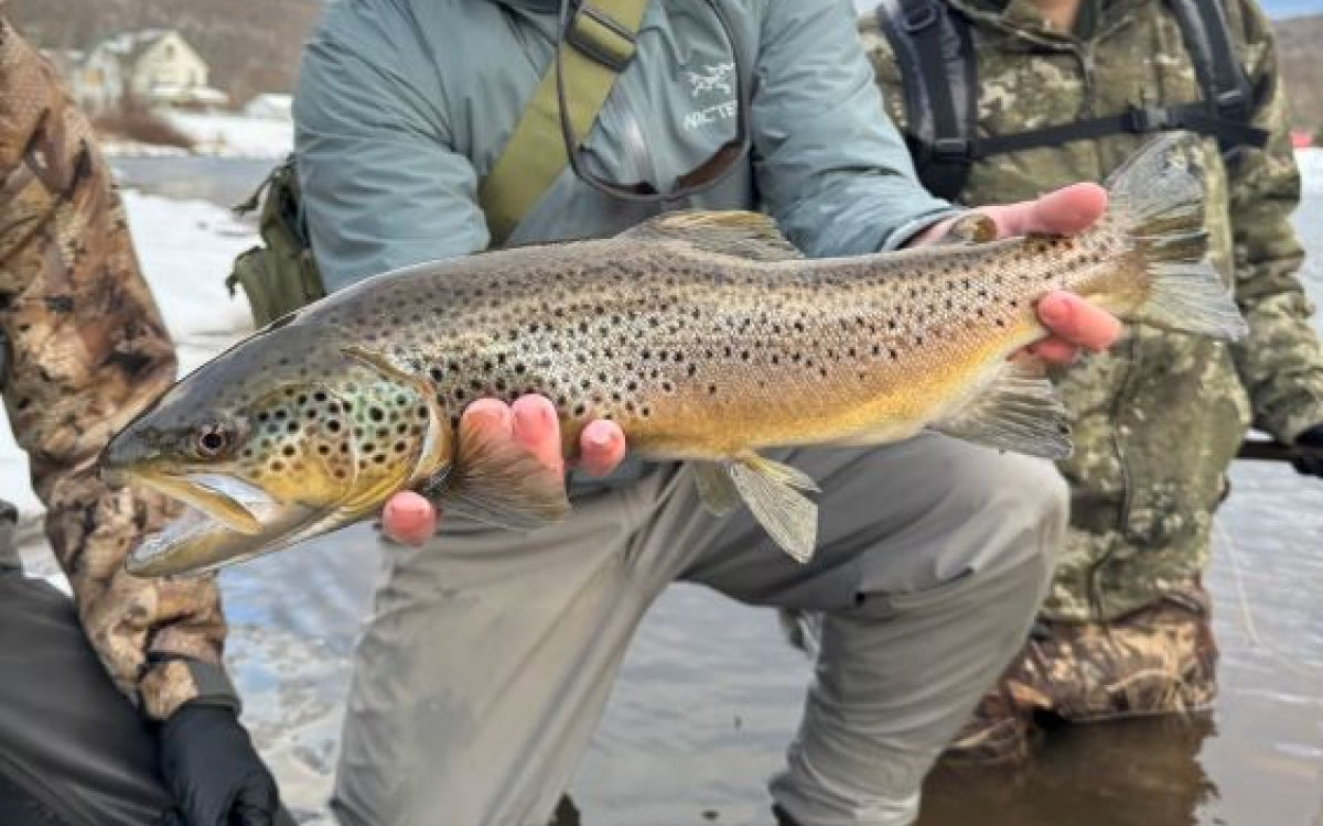 Northeast Fishing Report 1/2/2026