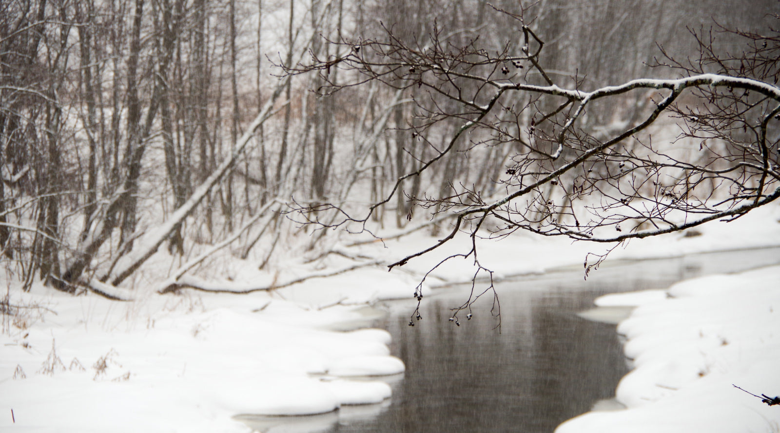 Northeast Fishing Report: 1/28/22