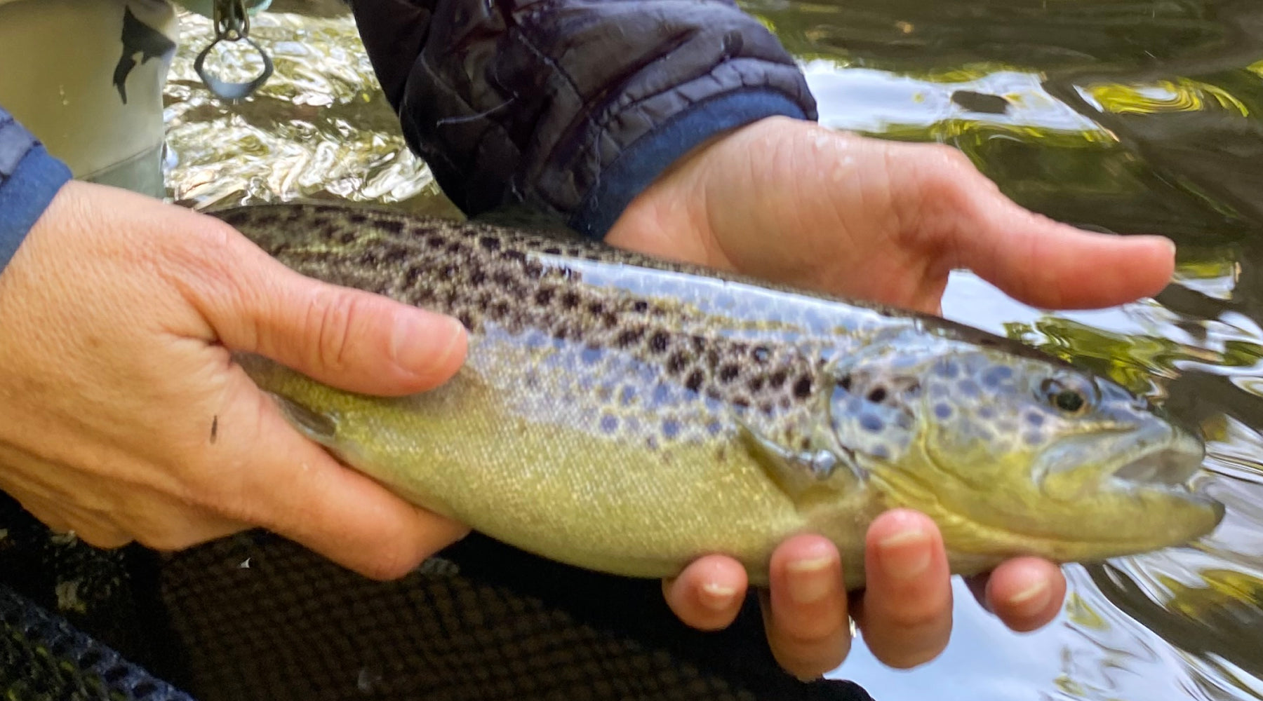 Northeast Fishing Report: 6/7/2024