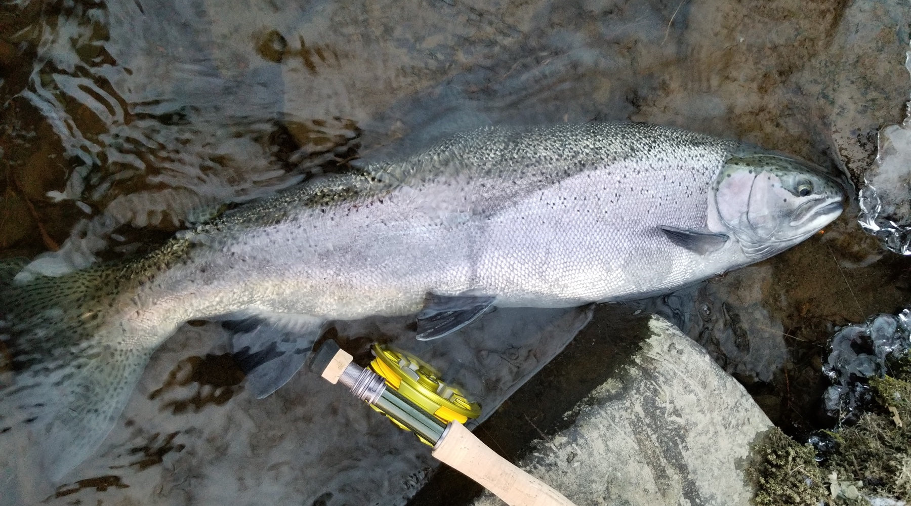 Northeast Fishing Report: 2/19/21