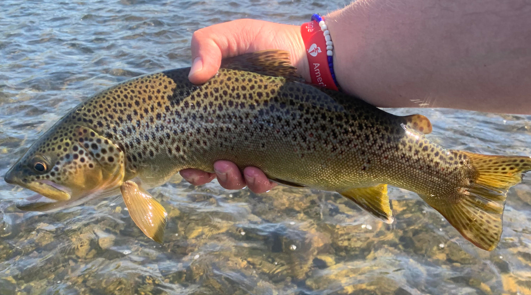 Northeast Fishing Report: 6/9/2023