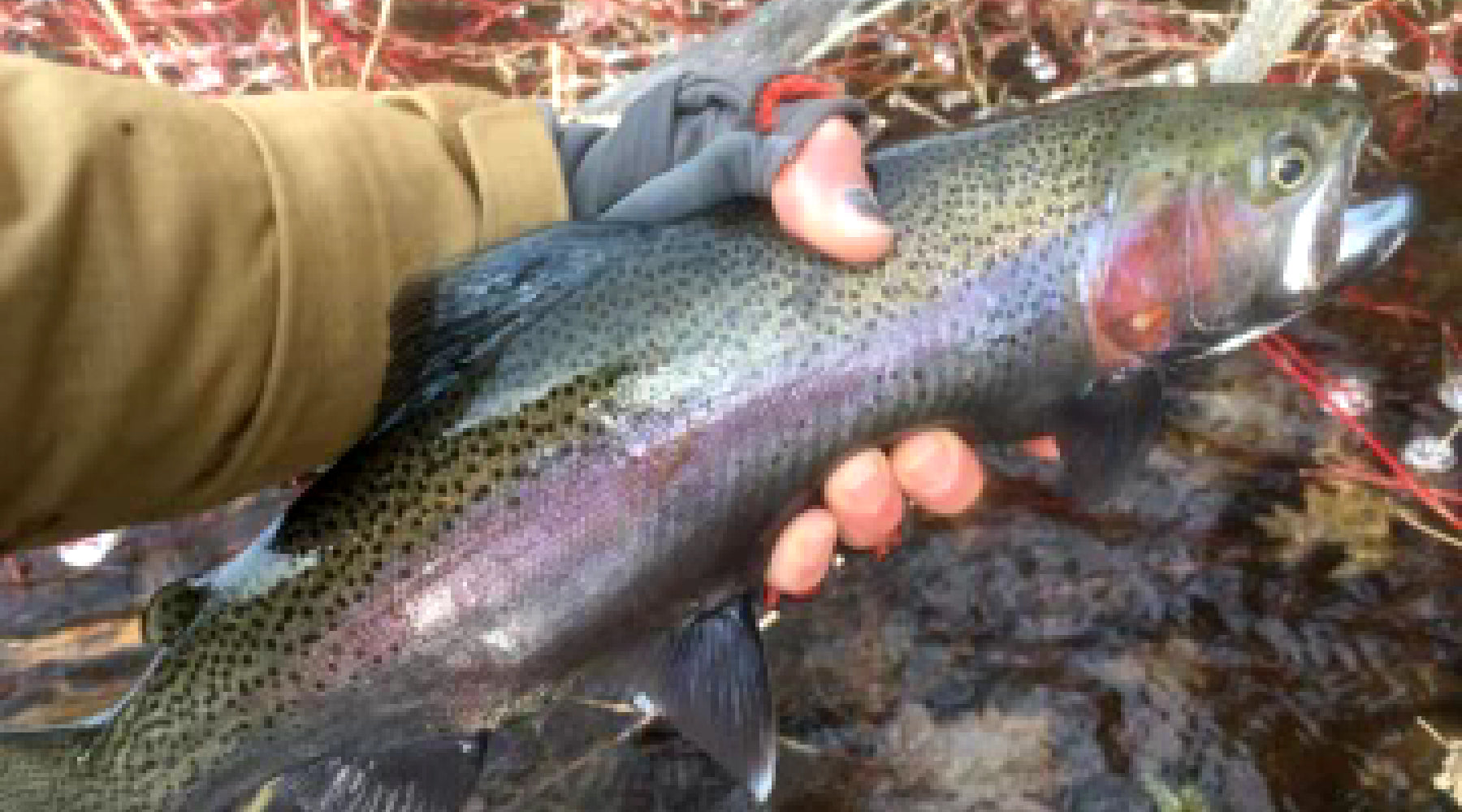 Northeast Fishing Report: 2/23/2024