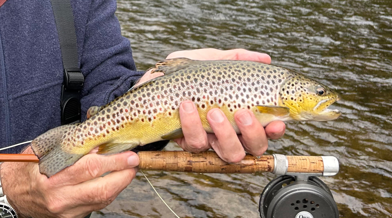 Northeast Fishing Report: 5/17/2024
