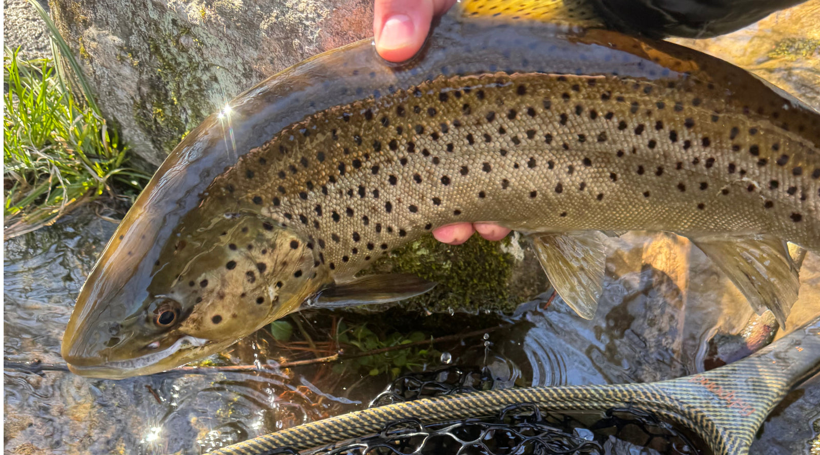 Northeast Fishing Report: 4/5/2024