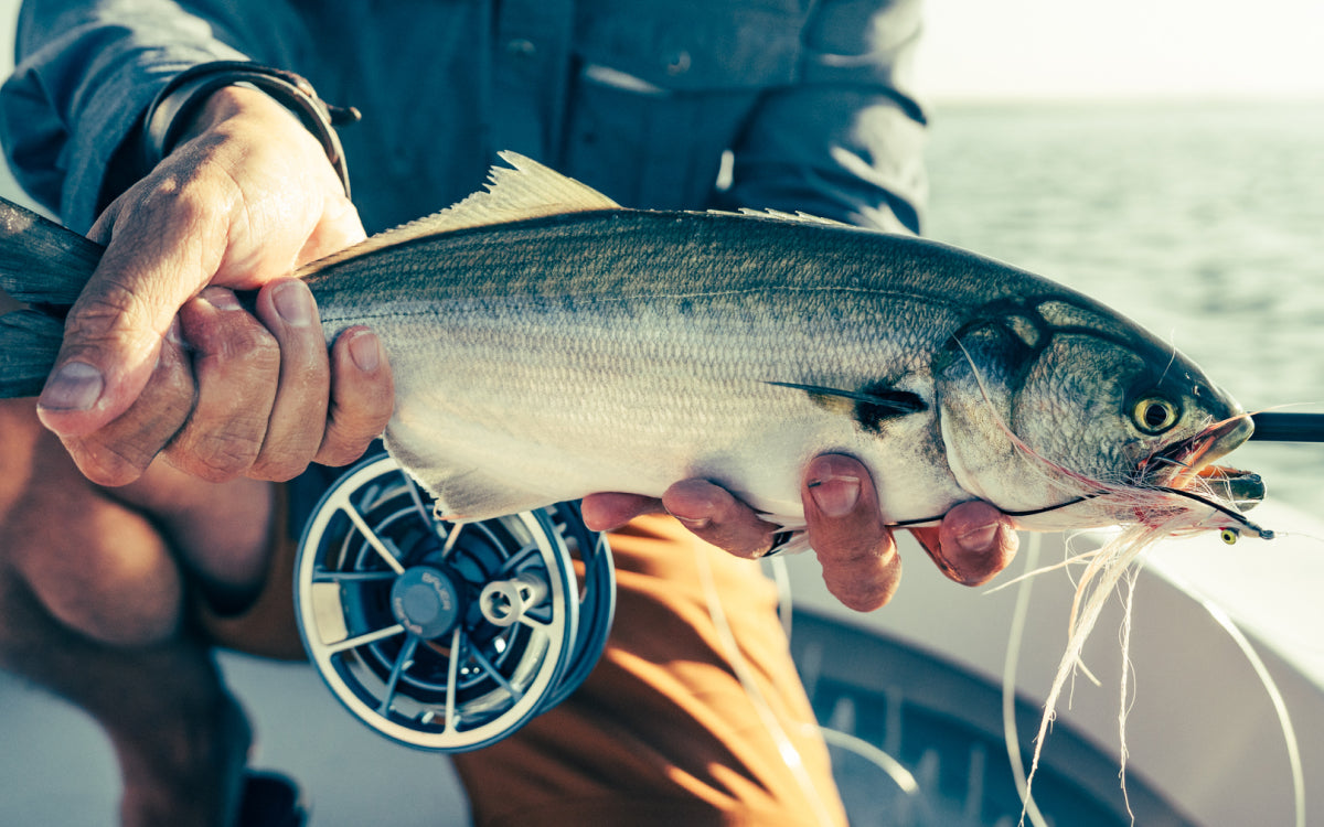Northeast Fishing Report 9/4/26