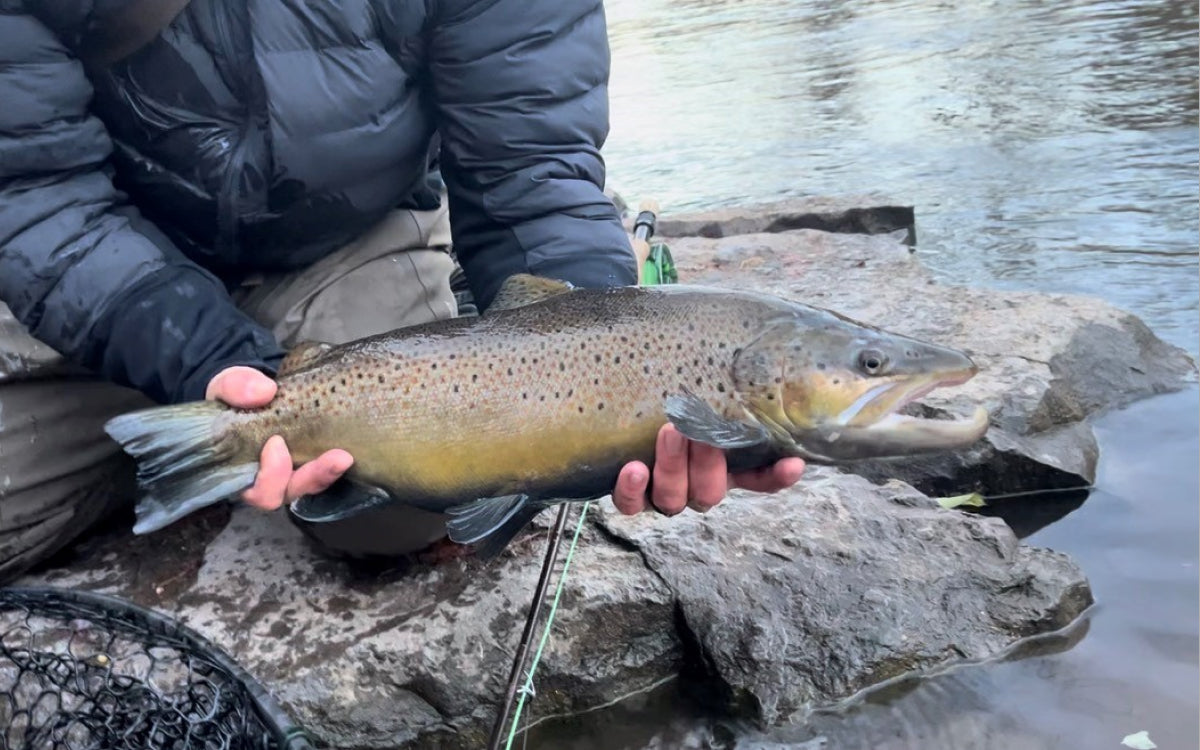 Northeast Fishing Report 12/19/2025