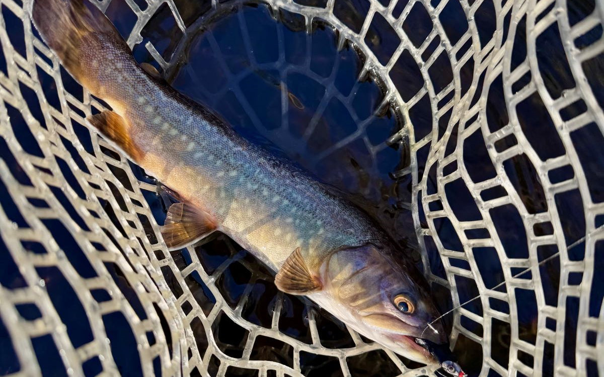 Northeast Fishing Report 1/9/2026