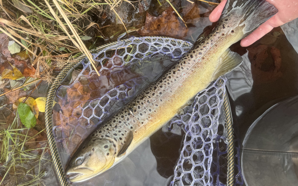 Northeast Fishing Report 12/5/2025