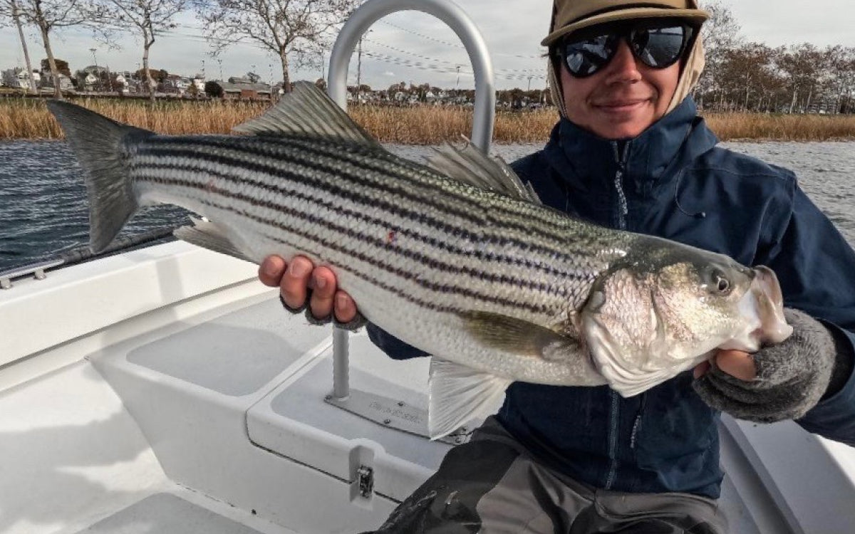 Northeast Fishing Report 11/14/2025