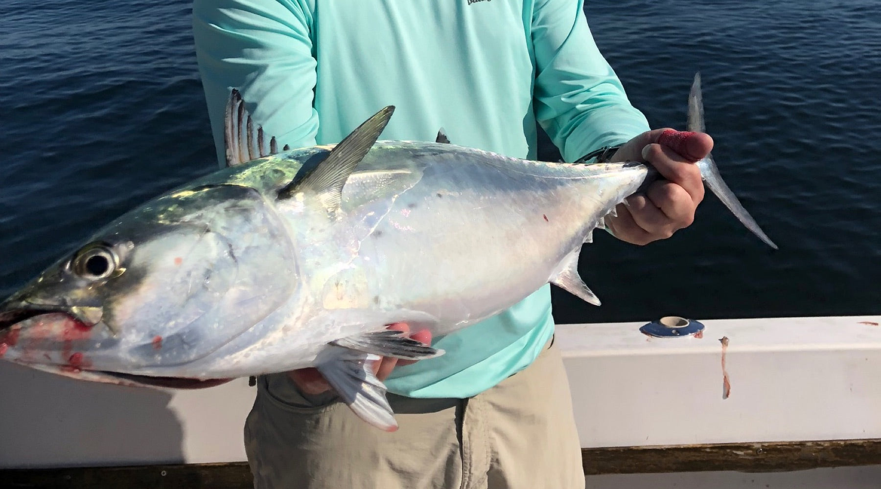 Northeast Fishing Report: 9/6/19