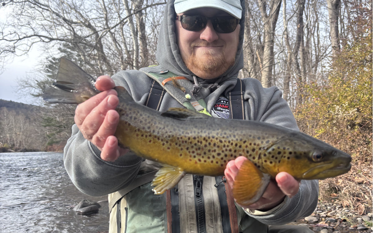 Northeast Fishing Report 11/28/2025