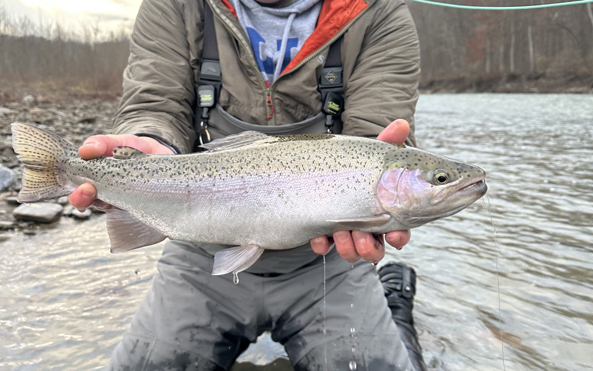 Northeast Fishing Report 12/12/2025