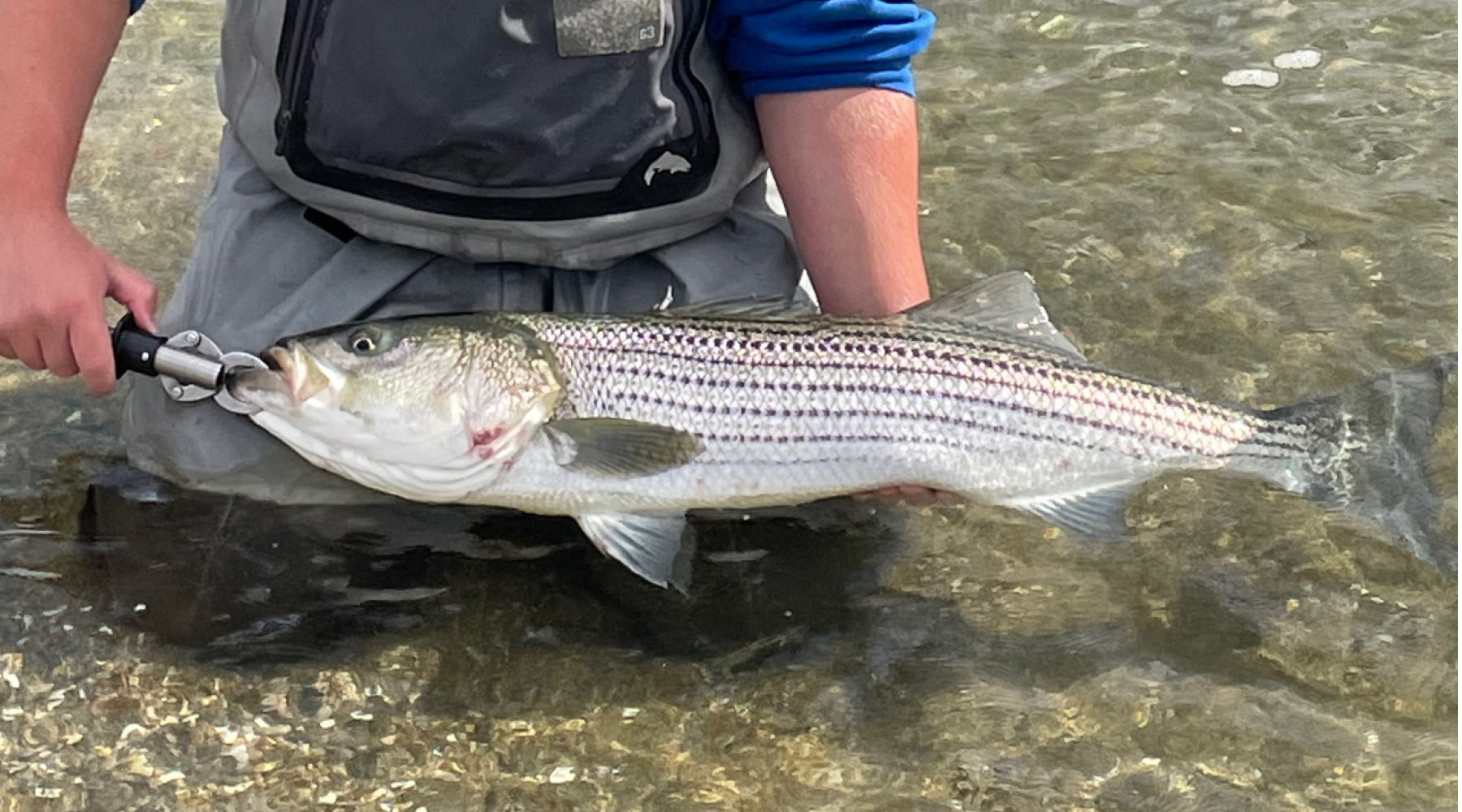 Northeast Fishing Report: 10/29/21