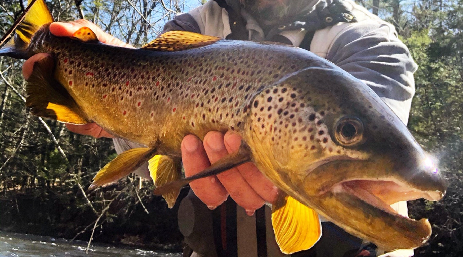 Northeast Fishing Report: 3/25/20