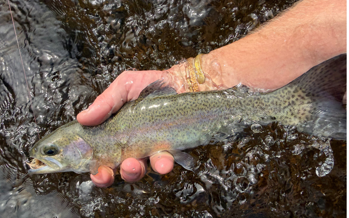 Northeast Fishing Report 4/10/26