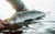 Northeast Fishing Report 4/18/2025