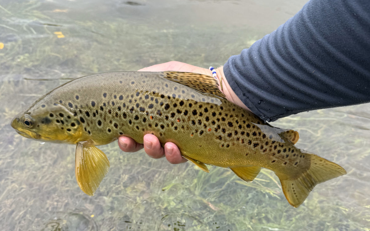 Northeast Fishing Report 6/13/2025