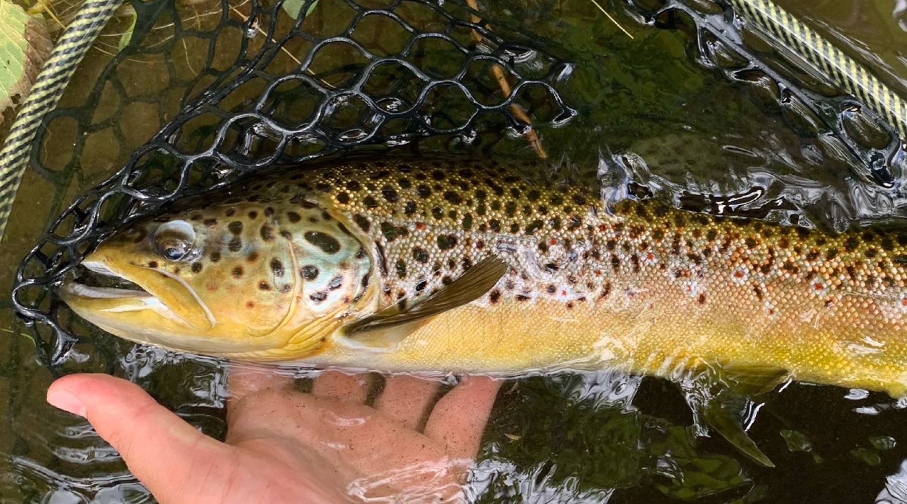 Northeast Fishing Report: 5/27/2022