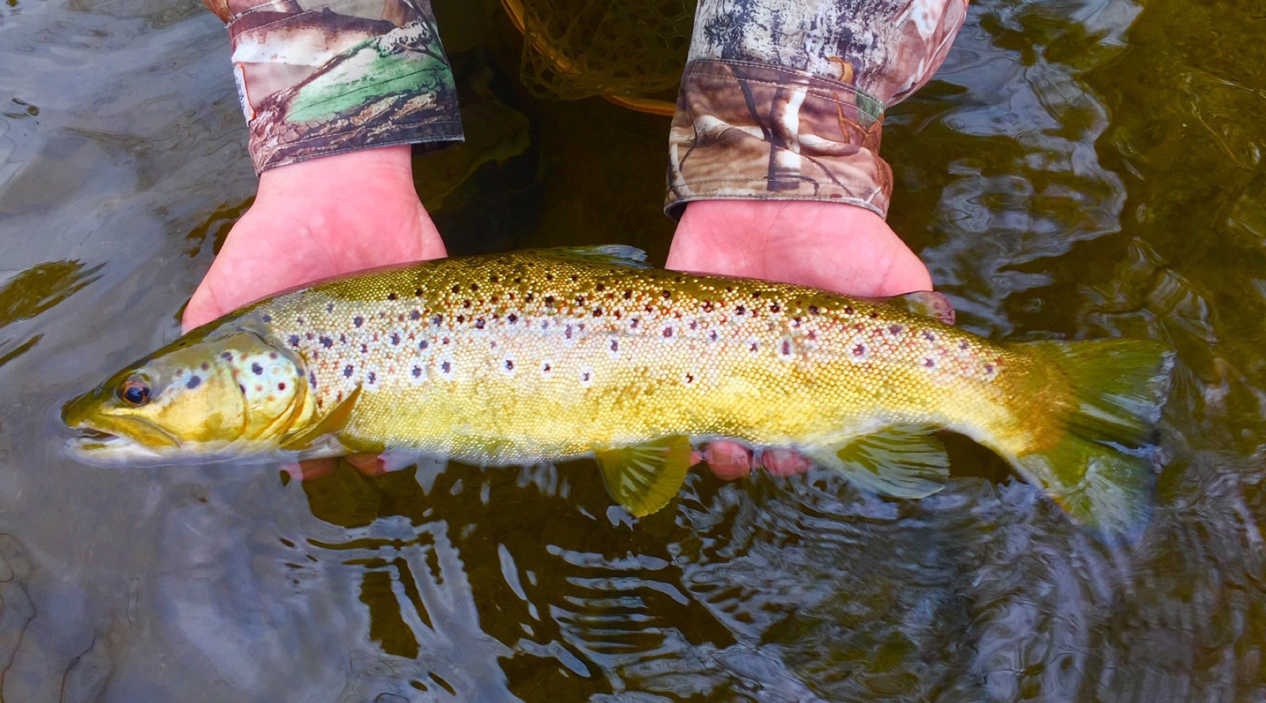 Northeast Fishing Report: 10/4/19