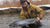Northeast Fishing Report: 1/22/21
