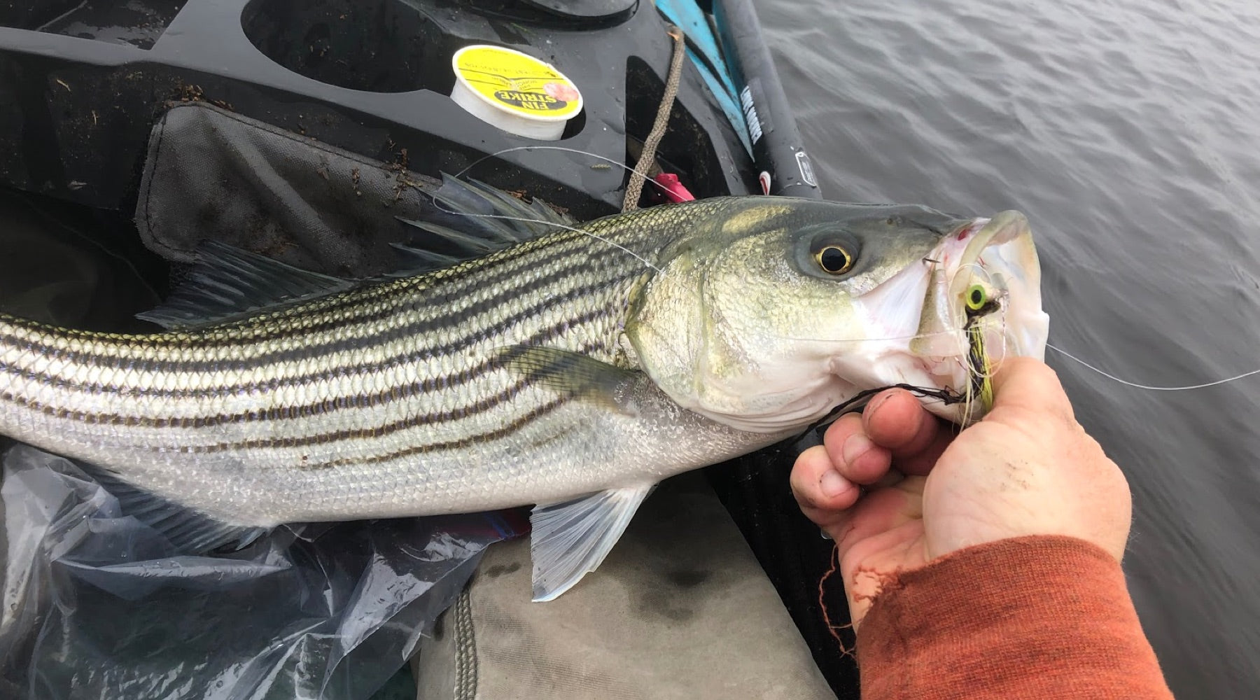 Northeast Fishing Report: 5/9/19