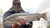 Northeast Fishing Report: 11/26/21