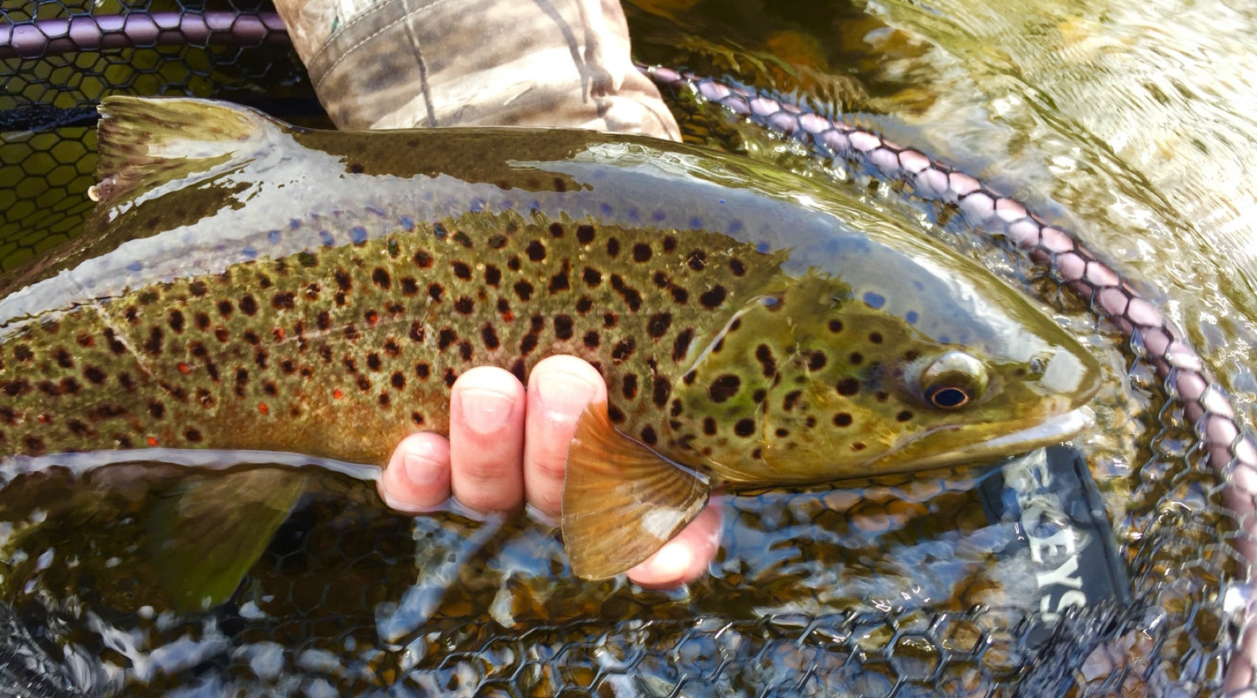 Spring Fishing Report: 3/12/20
