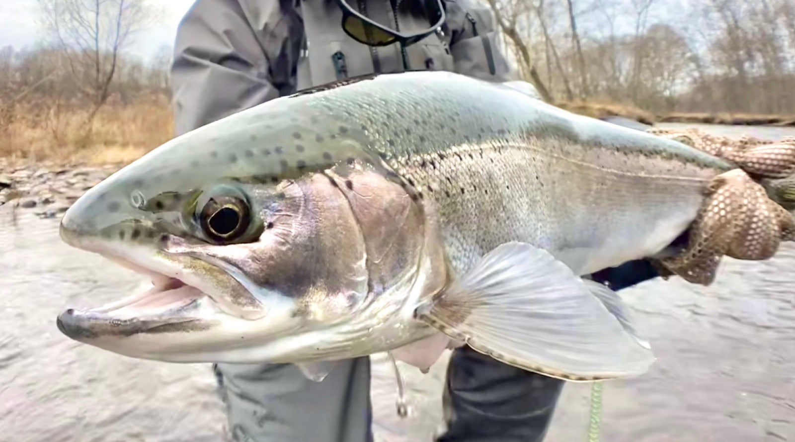 Northeast Fishing Report: 1/7/2022