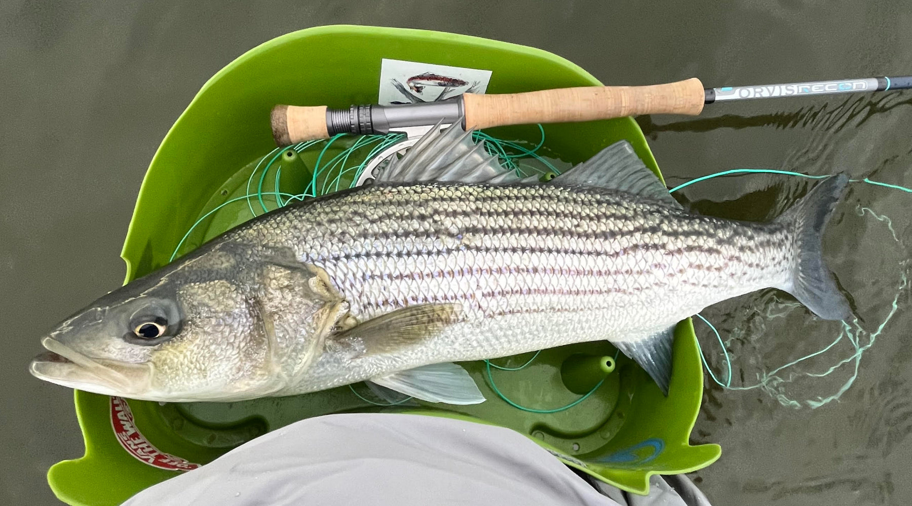 Northeast Fishing Report: 4/14/2023