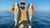 Northeast Fishing Report: 8/13/21