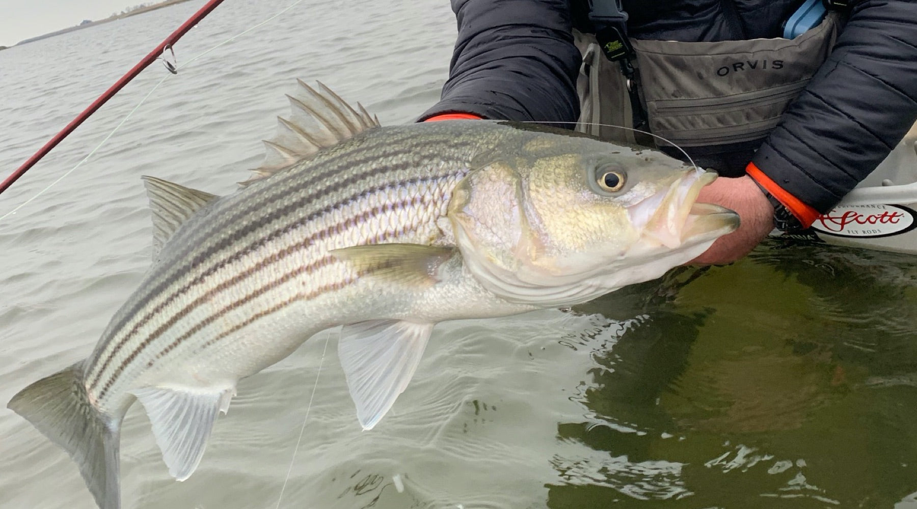 Northeast Fishing Report: 4/23/20