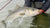 Northeast Fishing Report: 4/23/20