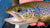 Northeast Fishing Report: 6/4/20