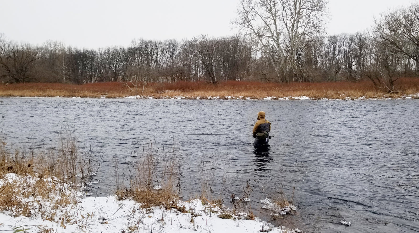 Northeast Fishing Report: 1/26/2024