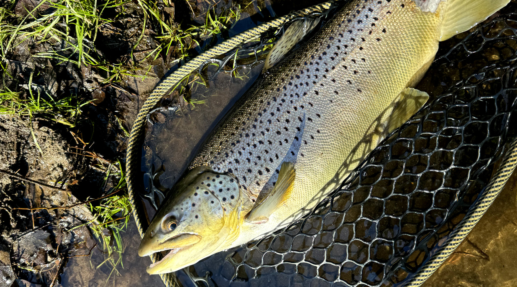Northeast Fishing Report: 1/12/2024