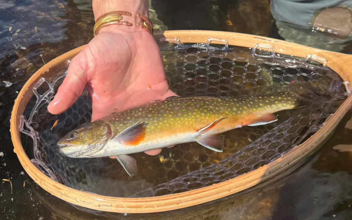 Northeast Fishing Report 5/8/26