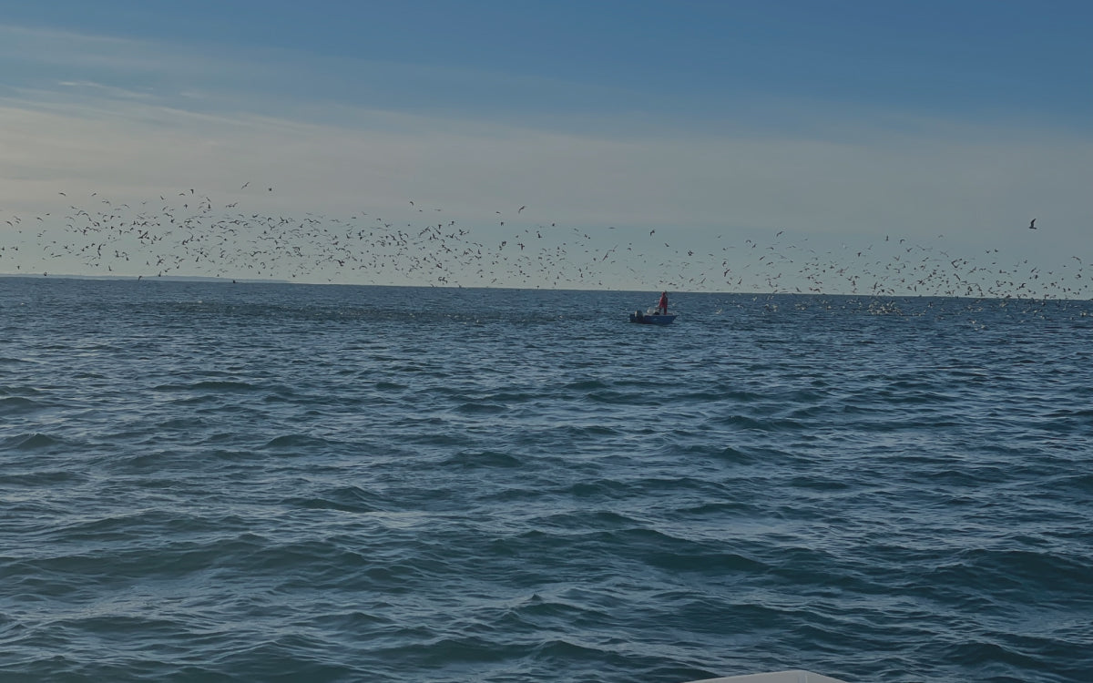 Northeast Fishing Report 8/21/26
