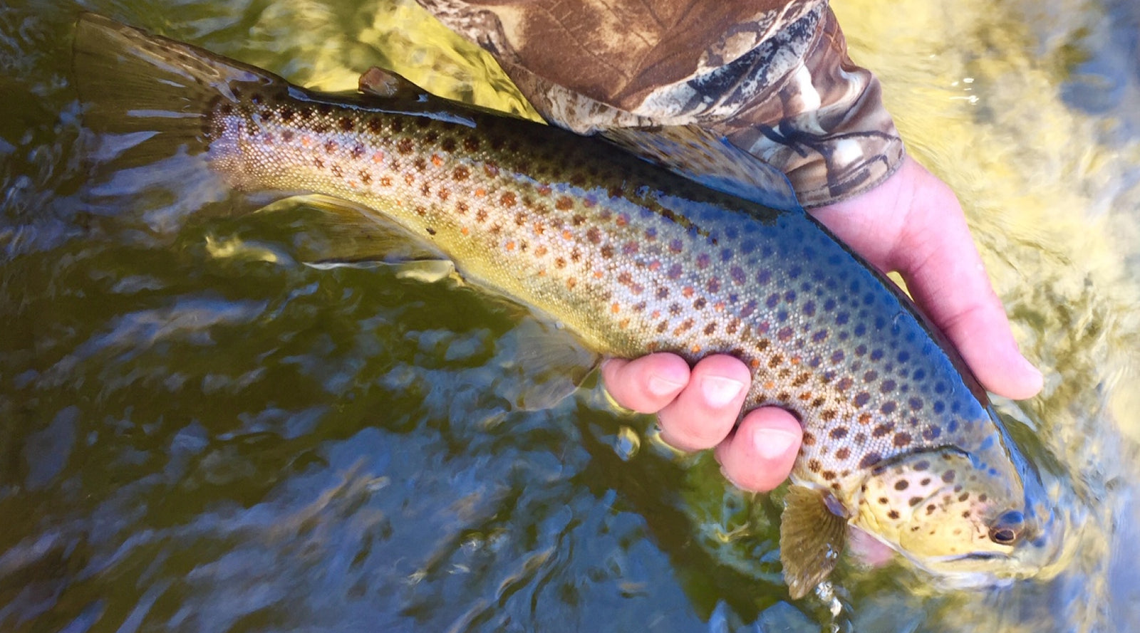 Northeast Fishing Report: 7/1/2022