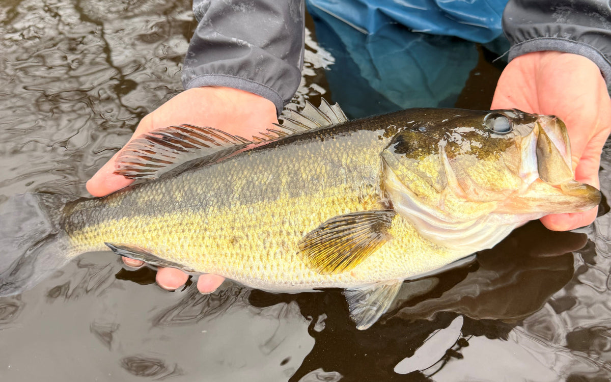 Northeast Fishing Report 4/24/26