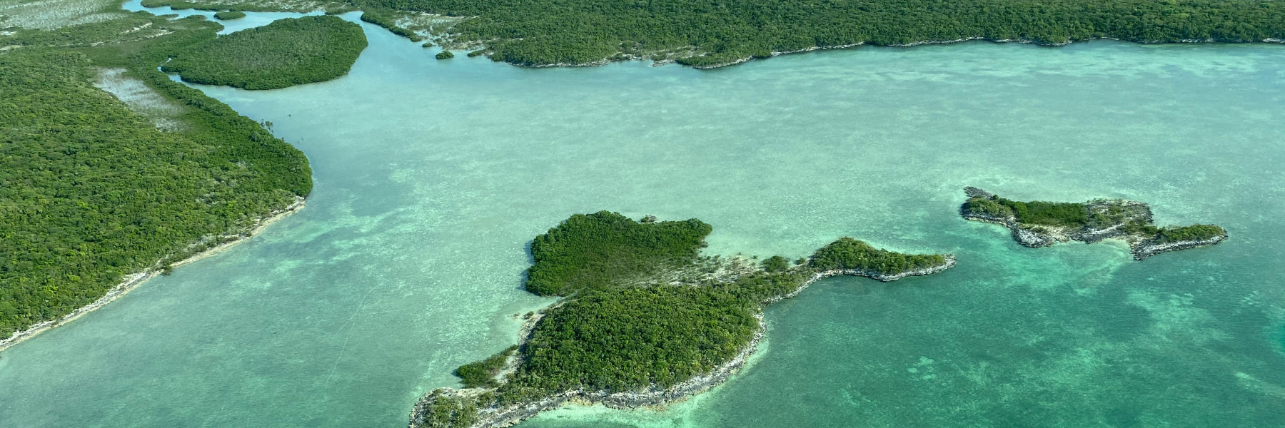 Gear Recommendations for Fly Fishing The Bahamas