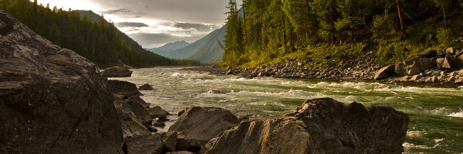 Compleat Angler Gear