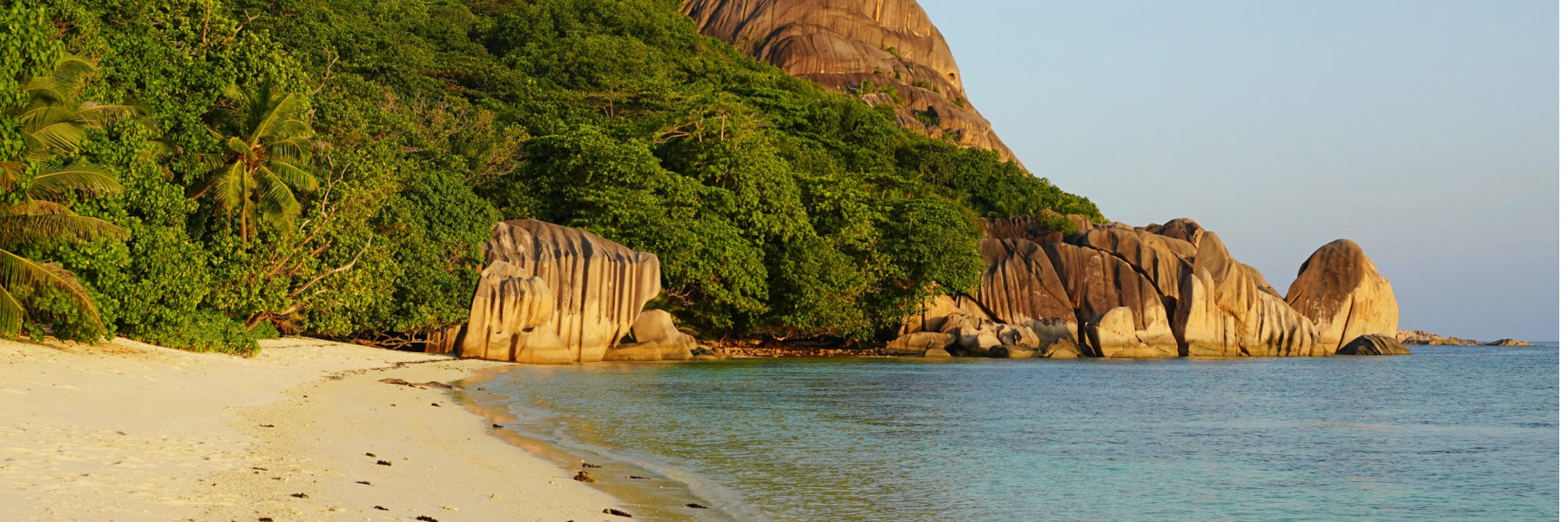 Gear Recommendations for Fly Fishing The Seychelles