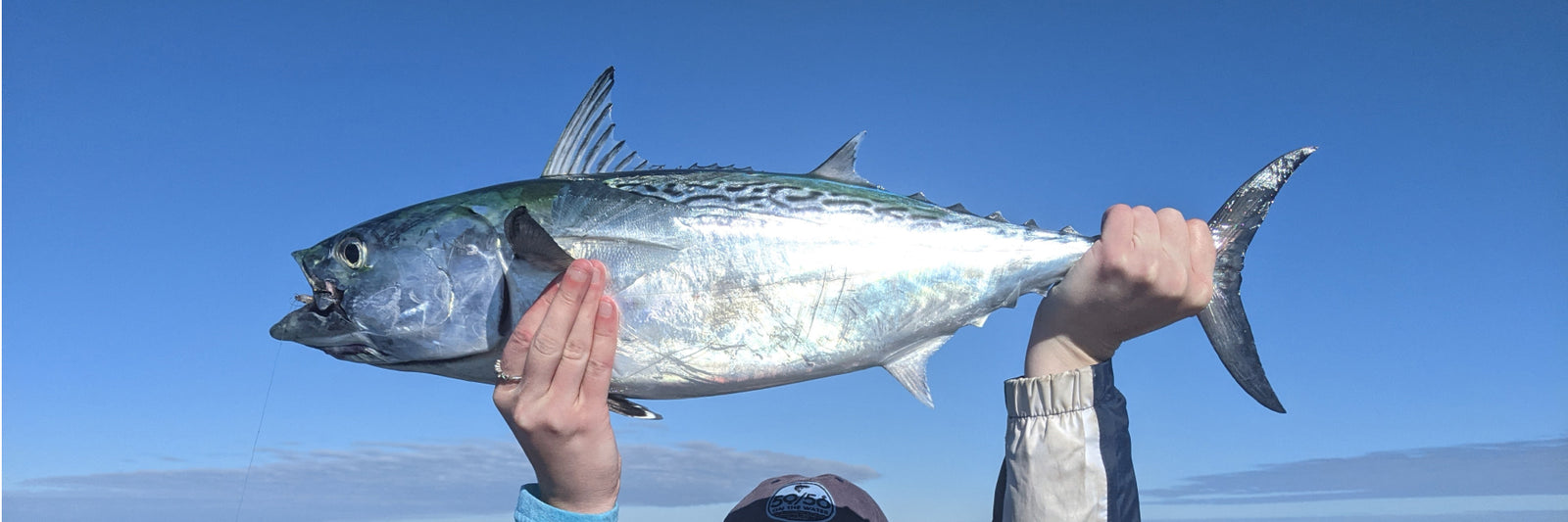 Fly Fishing Gear for False Albacore