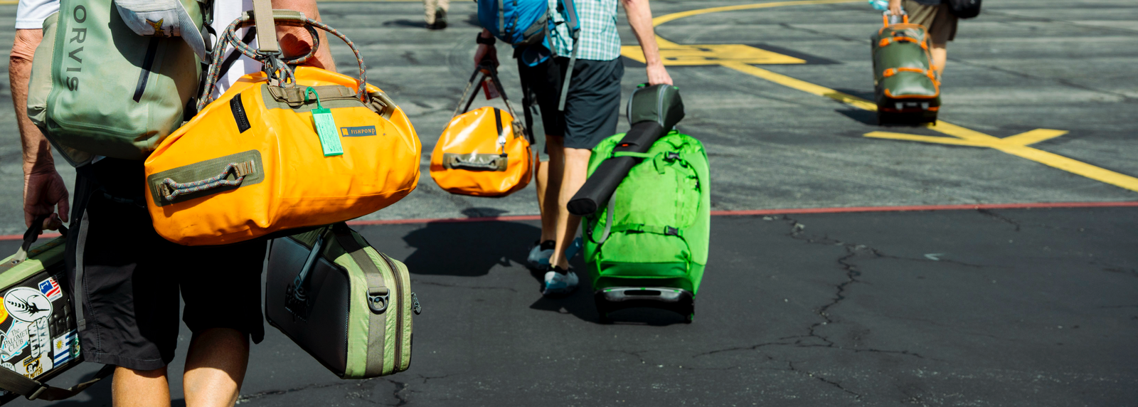 Travel Bags & Luggage