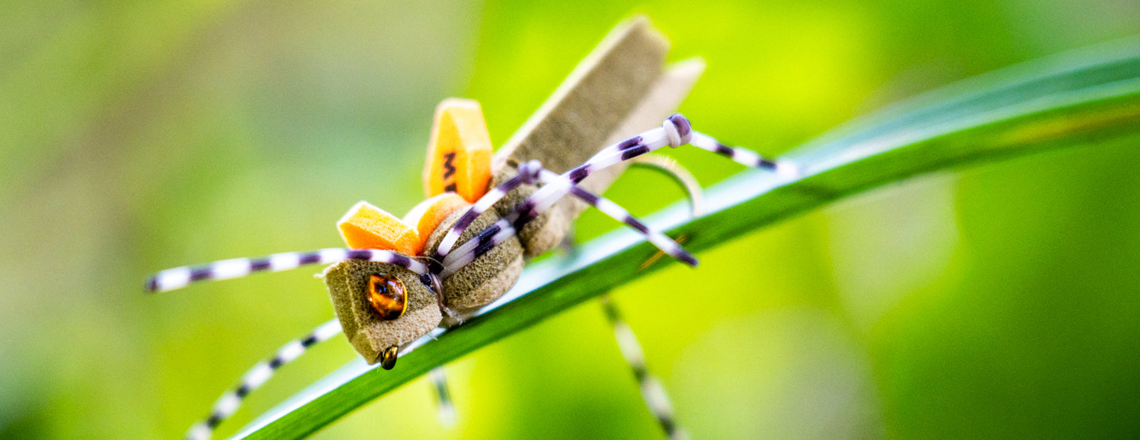 Trout Terrestrial Flies