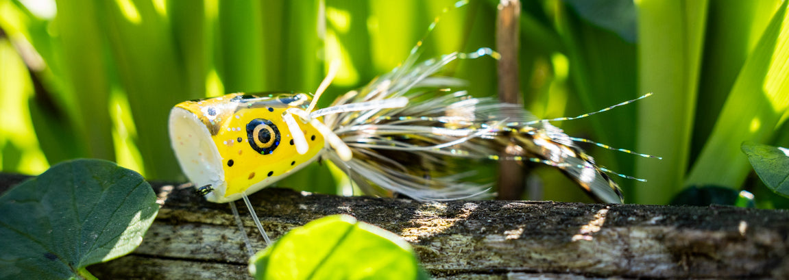 Freshwater Popper Flies