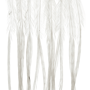 Whiting 100 Pack
