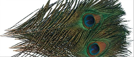 Wapsi Natural Peacock Eyes 4pk.